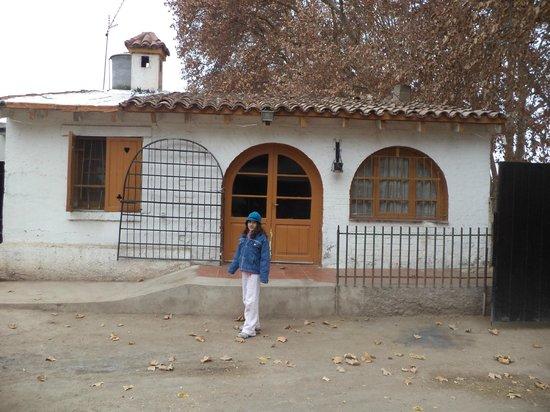 Ditommaso Winery and Restaurant